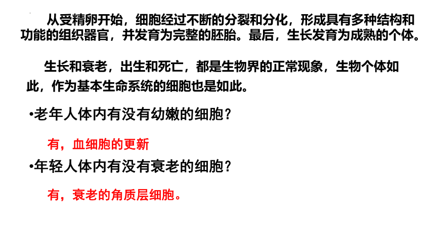 生物人教版2019必修1 6.3 细胞的衰老和死亡课件（共27张ppt）