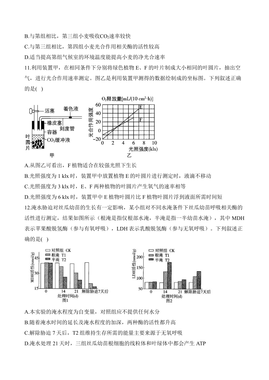 2024 届高考生物学核心考点小题限时练：细胞代谢（含解析）