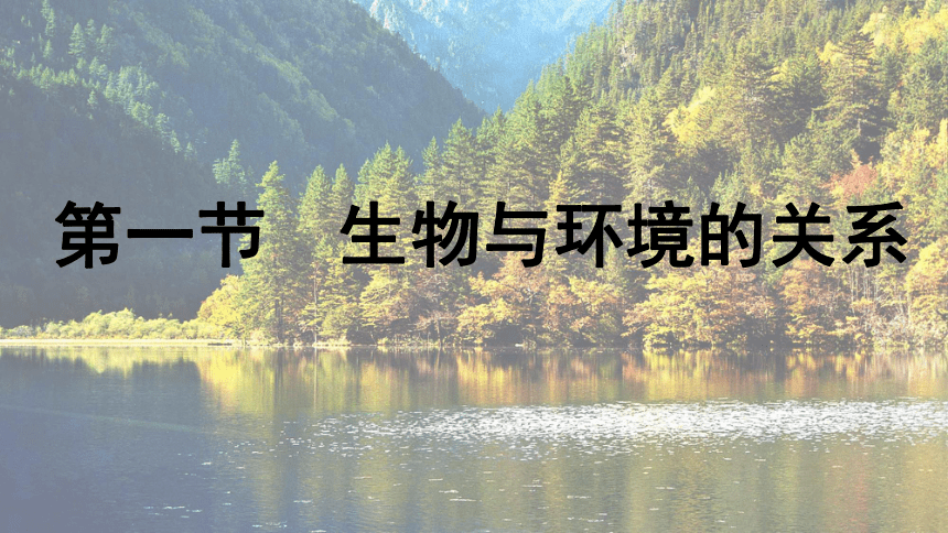 2021--2022学年人教版七年级上册生物1.2.1、生物与环境的关系课件(共33张PPT)