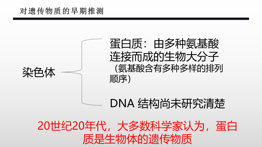 生物人教版（2019）必修2 3.1DNA是主要的遗传物质（共41张ppt）