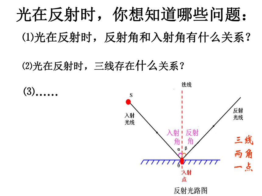 3.5 光的反射 (共37张PPT)2022-2023学年苏科版八年级物理上册