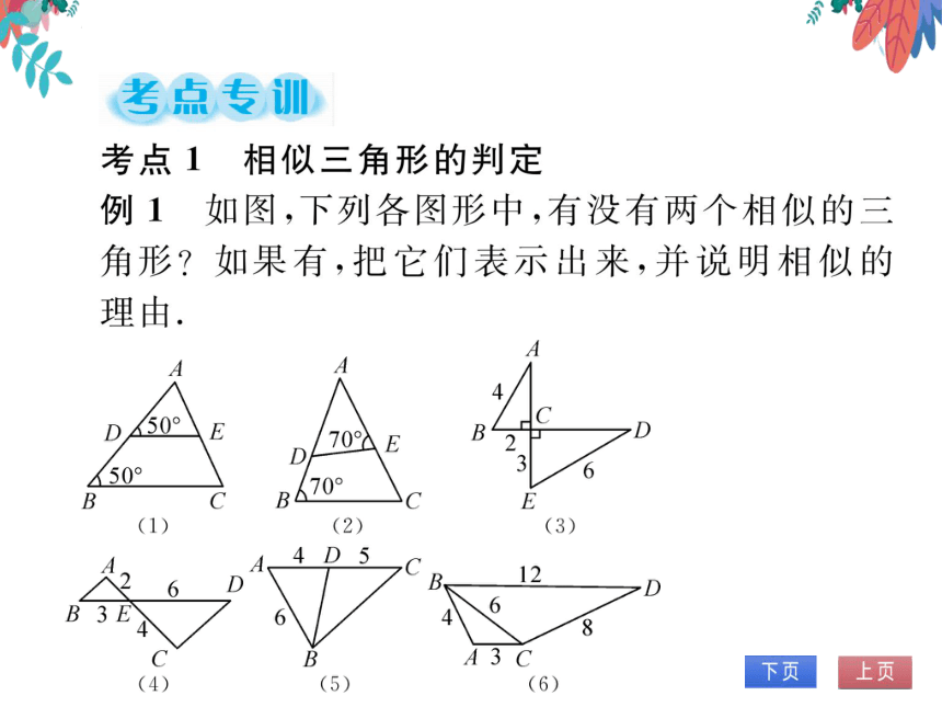 【沪科版】数学九年级上册 第22章 相似形 整合与提高 习题课件