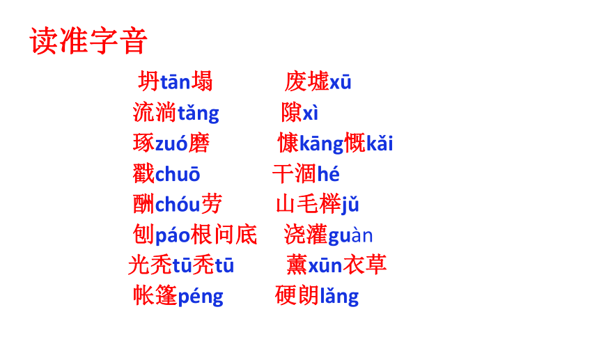 13 植树的牧羊人 课件（共49张PPT)