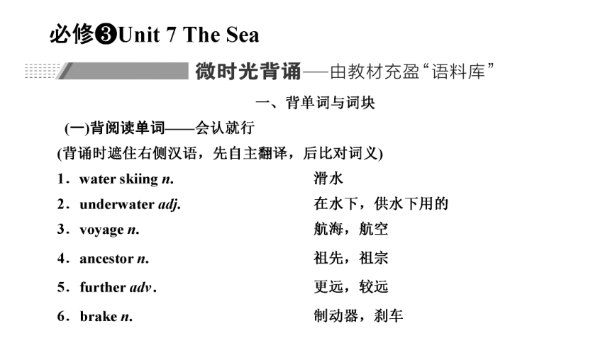 北师版 模块3 Unit 7 The Sea复习课件(共89张PPT)
