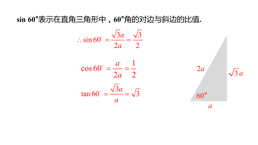 北师大版九年级数学下册1.2  30° 45° 60°角的三角函数值课件(共24张PPT)