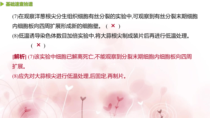 【二轮专题复习课件】第14讲　教材基础实验(共66张PPT)