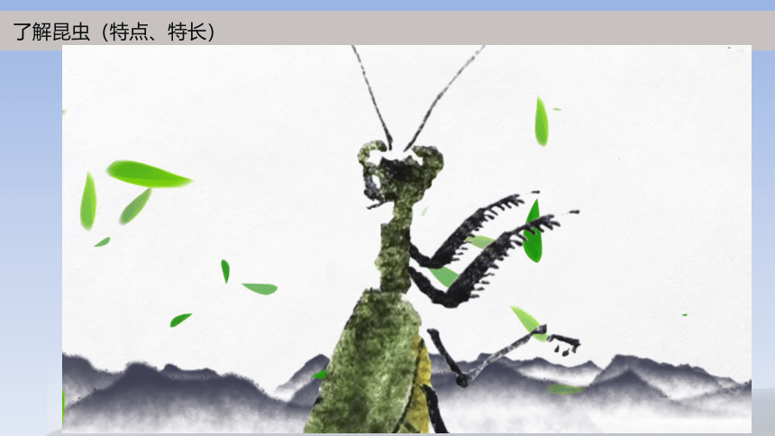 岭南版小学三年级美术上册《可爱的水墨昆虫》名师课件