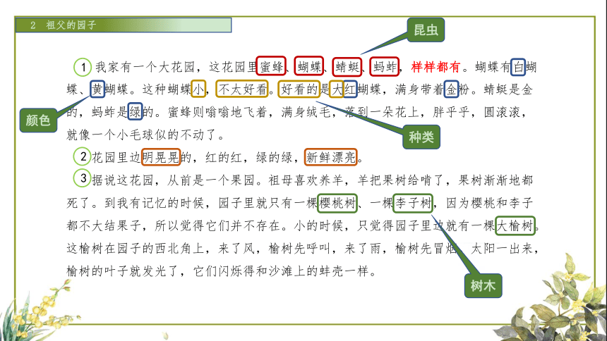 2 祖父的园子  课件（37张）