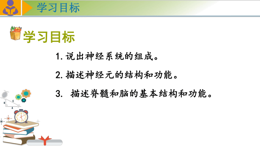 4.12.2人体的神经调节（第一课时）课件 (共34张PPT)苏教版生物七年级下册