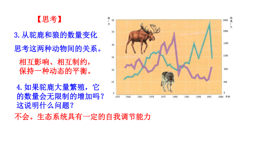 6.2.5 生态系统的自我调节课件(共22张PPT)生物济南版八年级下册