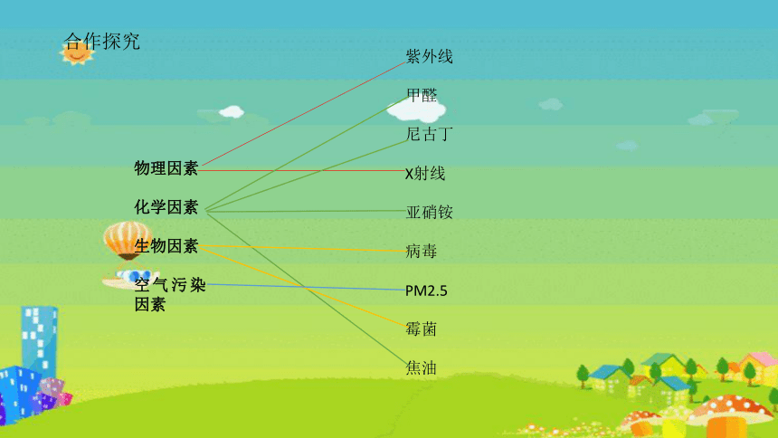 人教版七年级上册生物 第二单元 脱缰之马—癌细胞 课件(共13张PPT)