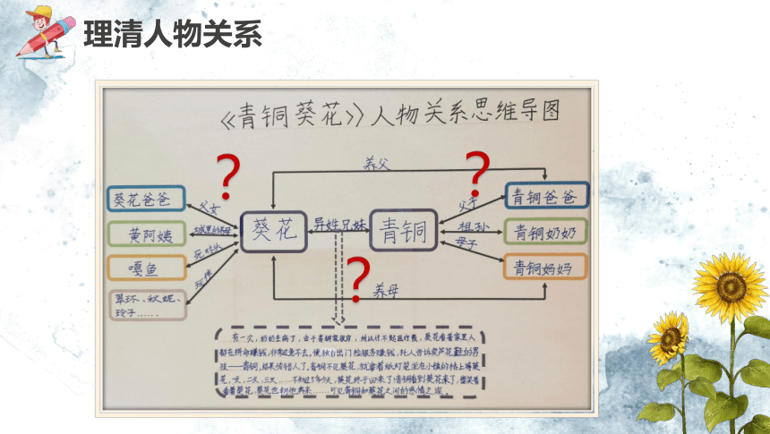 四年级语文下册课外阅读《青铜葵花》导读课 课件(共24张PPT)