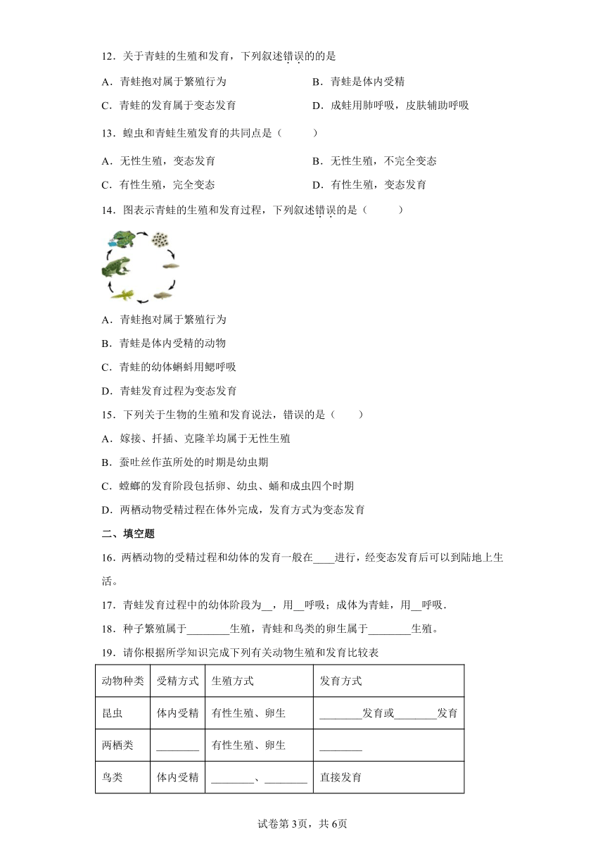 苏教版生物八年级下册 第21章 第四节 两栖类的生殖与发育 练习（word版，含答案）