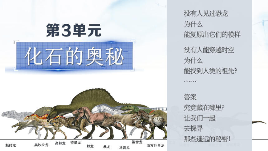 3.8《消失的恐龙》课件（29页PPT）