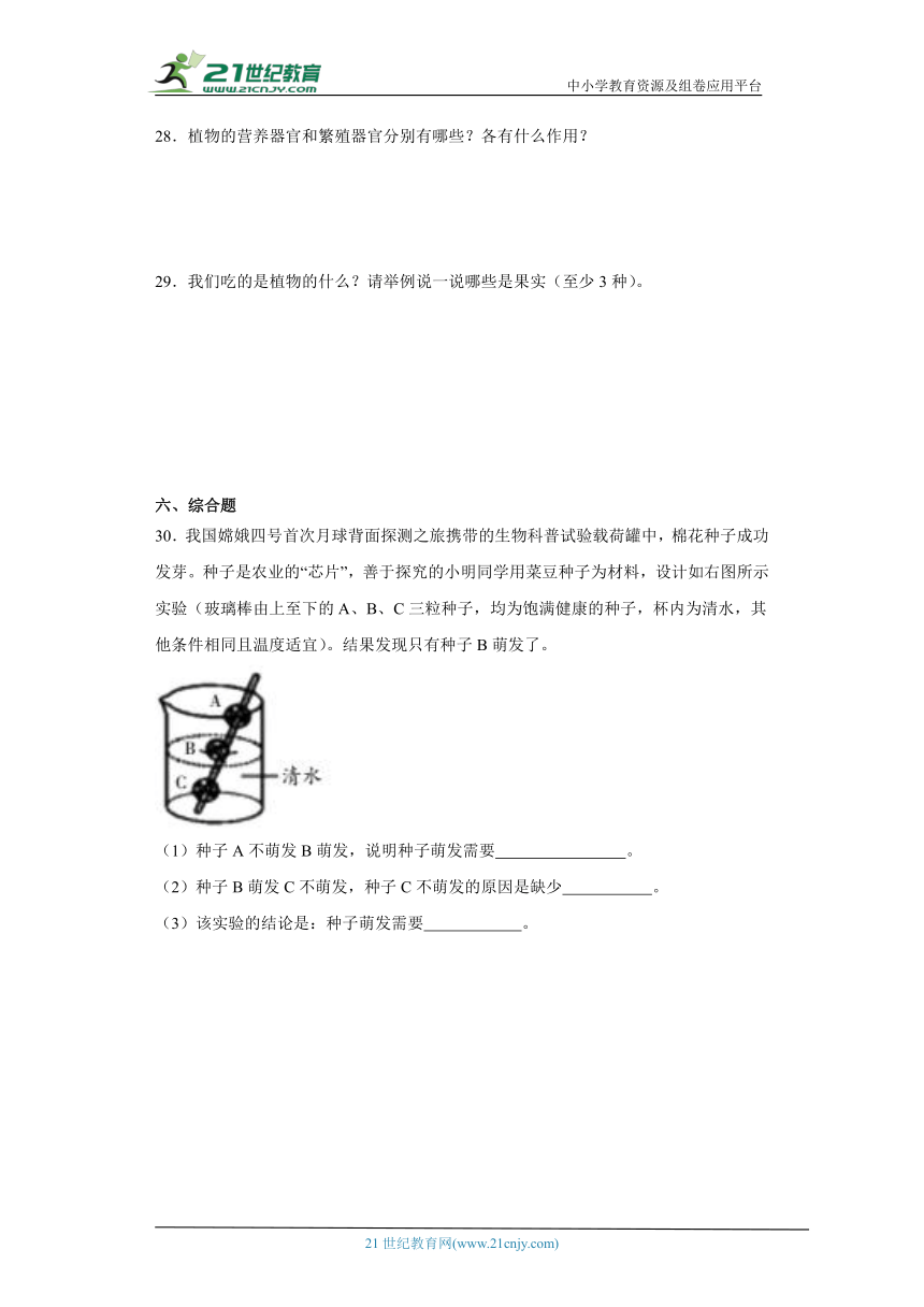 苏教版三年级下册科学第一单元植物的一生综合训练（含答案）