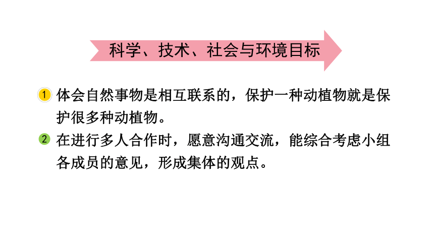 2023春教科版五年级科学下册1.6 食物链和食物网 课件（31张PPT）