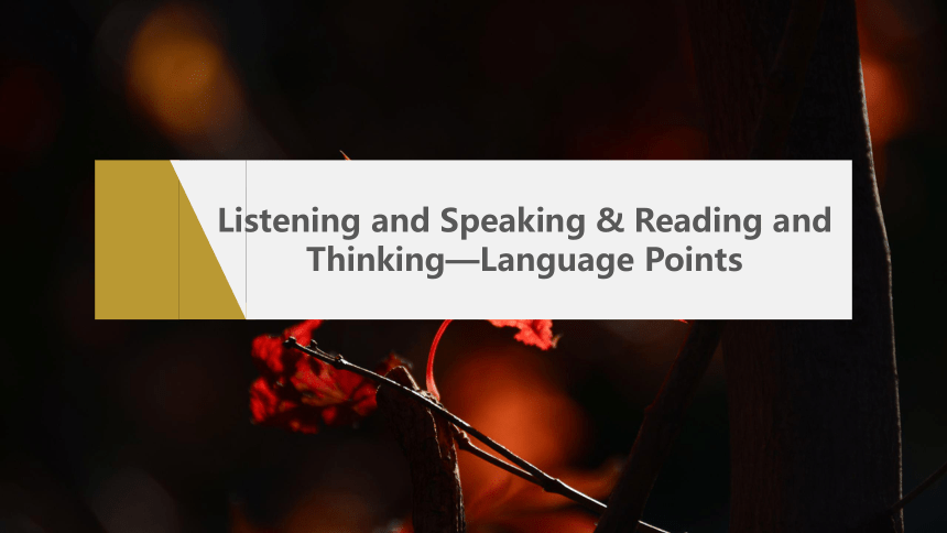 Unit 5Listening and Speaking & Reading and Thinking—Language Points  课件 人教版（2019）  必修第三册