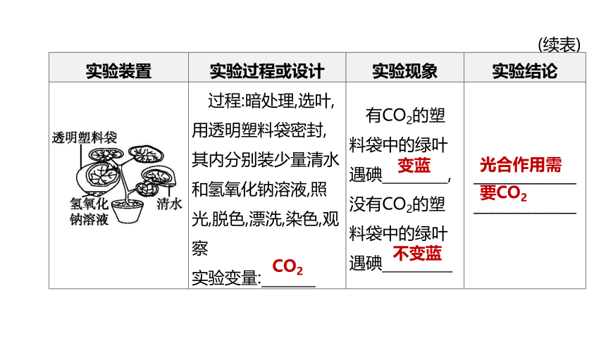 2022年浙江省中考科学一轮复习 第04课时　绿色植物的光合作用和呼吸作用（课件 64张PPT）