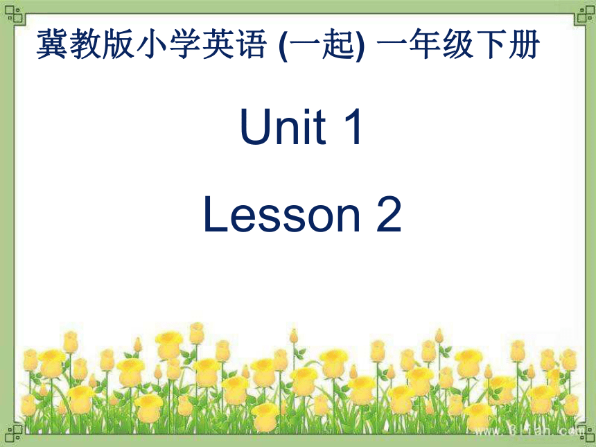 Unit 1 Lesson 2  How Old Are You 课件(共18张PPT)