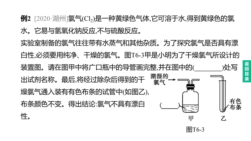 2023年中考化学（人教版）总复习二轮复习课件：专题06    科学探究题(共43张PPT)