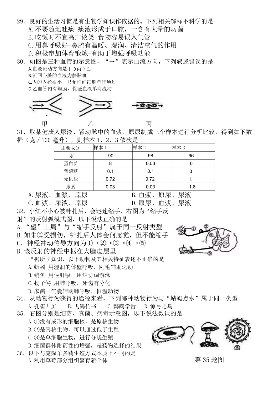 2023年湖北省十堰市生物中考真题（含答案）