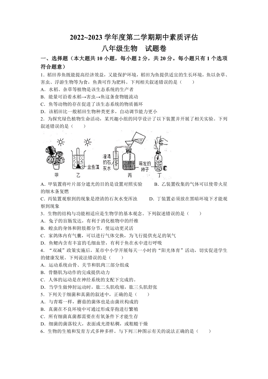 安徽省六安市金安区2022-2023学年八年级下学期期中生物试题(无答案)