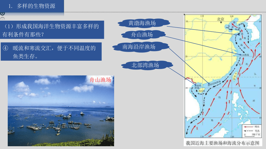 湘教版地理八上 3.4 中国的海洋资源 课件（27张ppt 内含嵌入视频）