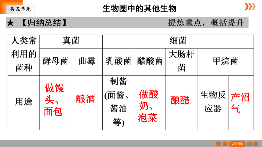 人教版生物八年级上册 第5单元 第4章 第5节　人类对细菌和真菌的利用 课件（共41张PPT）