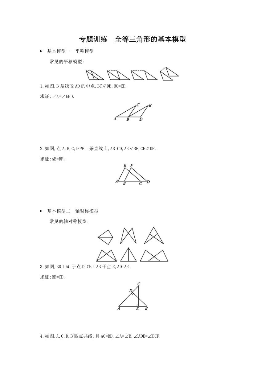 湘教版数学八年级上册课课练：第2章 三角形  专题   全等三角形的基本模型（含答案）