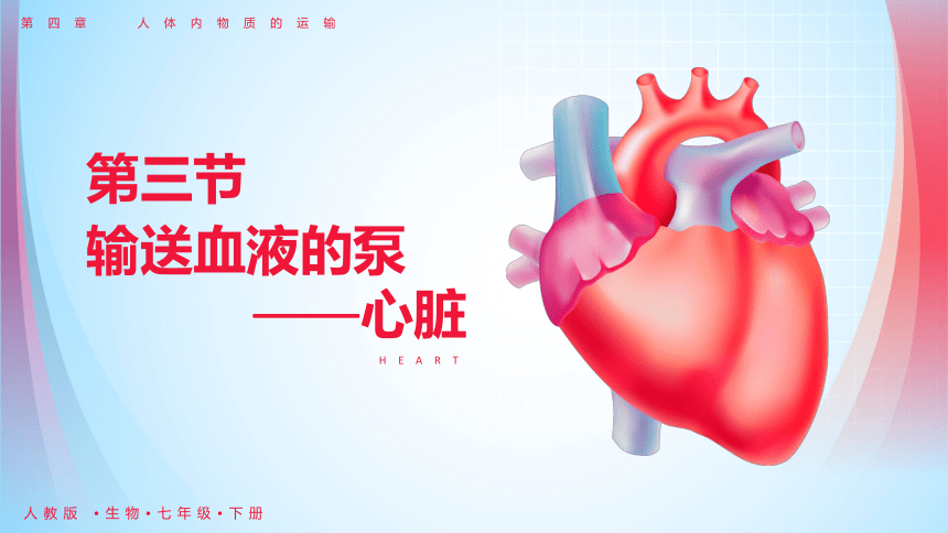 第三节 输送血液的泵──心脏 课件（23张PPT）