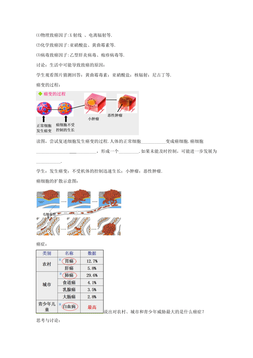 苏教版 八下  25.2  威胁健康的主要疾病 第二课时癌症 教案