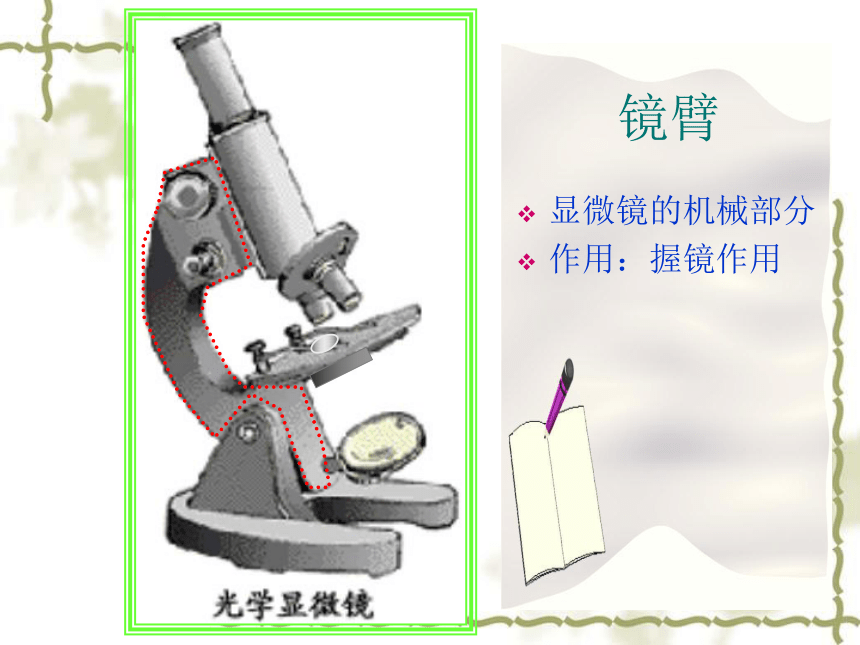 人教版七年级上册生物学2.1.1练习使用显微镜课件(共39张PPT)