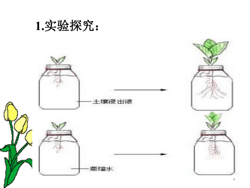 第一节 绿色植物的生活需要水和无机盐——无机盐与植物的生活 课件（27张PPT）