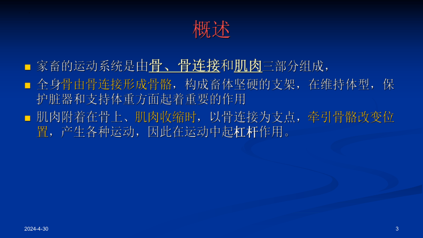 项目2 运动系统的解剖生理特征识别（1）课件(共20张PPT)《畜禽解剖生理（第四版）》同步教学(高教版)