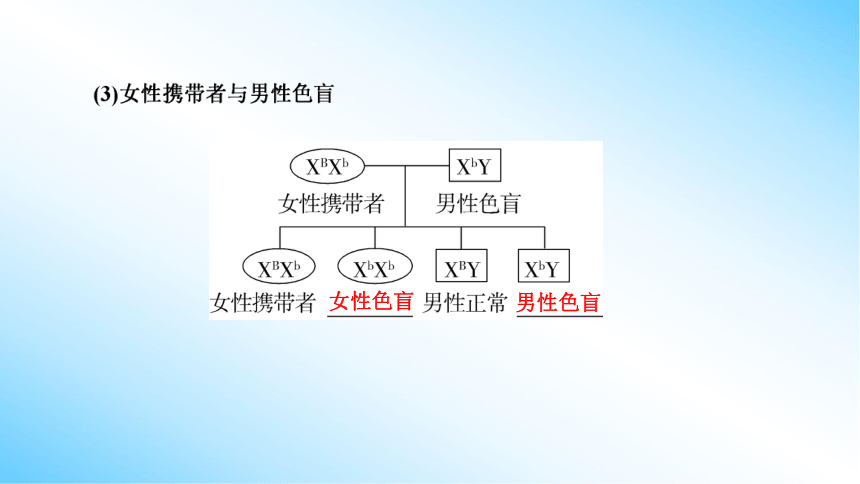 【课件版学案】2-3 伴性遗传 人教版2019必修2(共77张PPT)