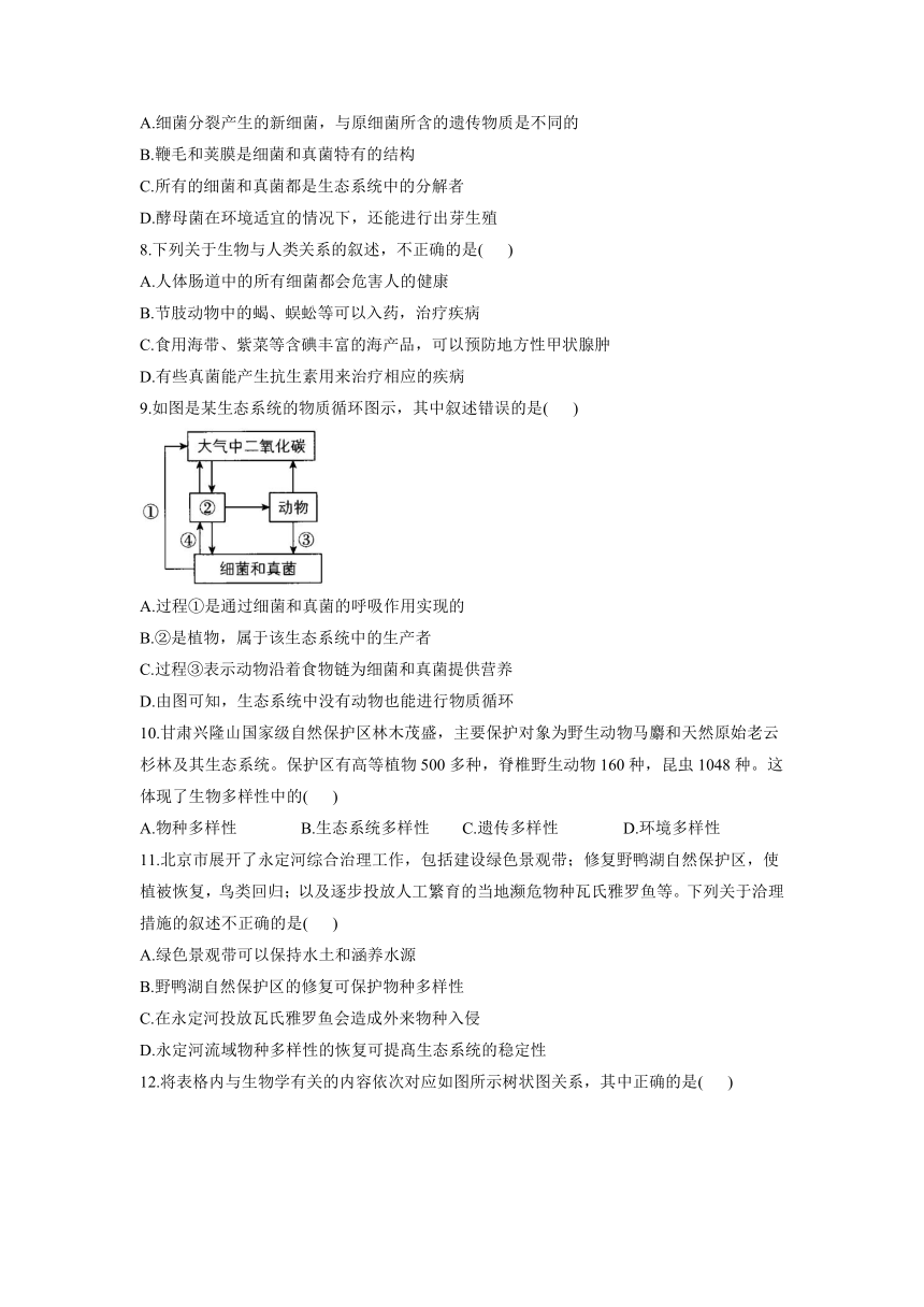 2021-2022学年苏教版生物八年级上册期末复习测评卷A卷（word版含解析）