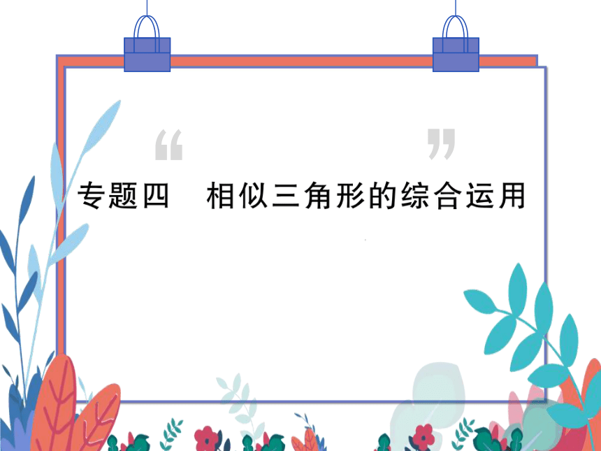 【沪科版】数学九年级上册 第22章 专题四 相似三角形的综合运用 习题课件