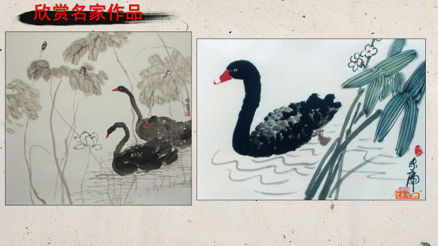 岭南版4年级上册美术 12快乐的黑天鹅  课件