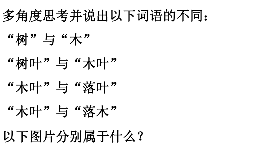 9.《说“木叶”》课件（69张PPT）—2020-2021学年统编版高中语文必修下册第三单元