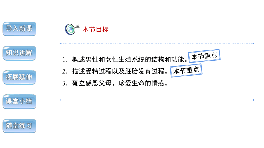 4.1.2人的生殖 课件 2022--2023学年人教版七年级下册生物（共29张ppt）