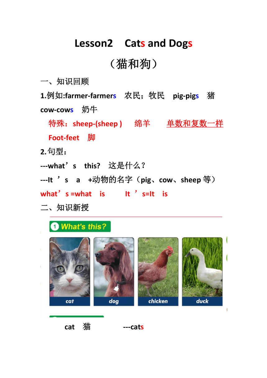 Unit1  Lesson2  Cats and Dogs知识梳理