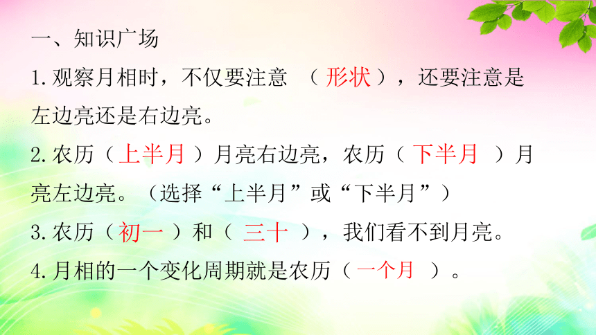 大象版（新）四年级下册科学  3.5一课一练 练习课件（8张PPT）