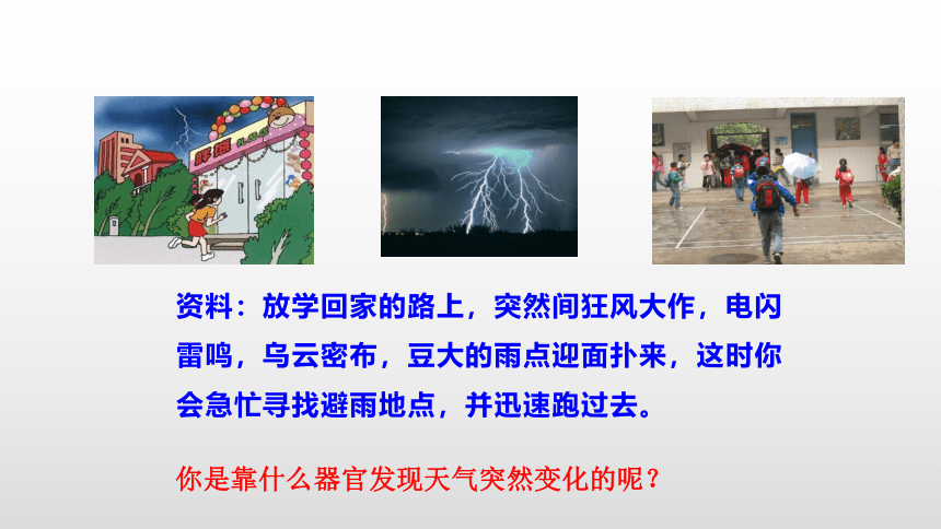 2021-2022学年人教版生物七年级下册4.6.1人体对外界环境的感知课件(共24张PPT)