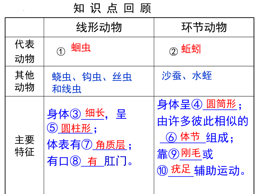 5.1.3 软体动物和节肢动物课件(共39张PPT)2022-2023学年人教版八年级生物上册