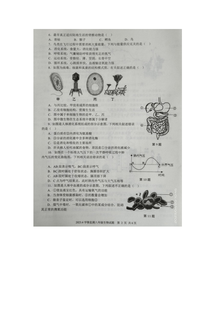 山东省金乡县2022-2023下学期八年级生物期中试题（图片版含答案）