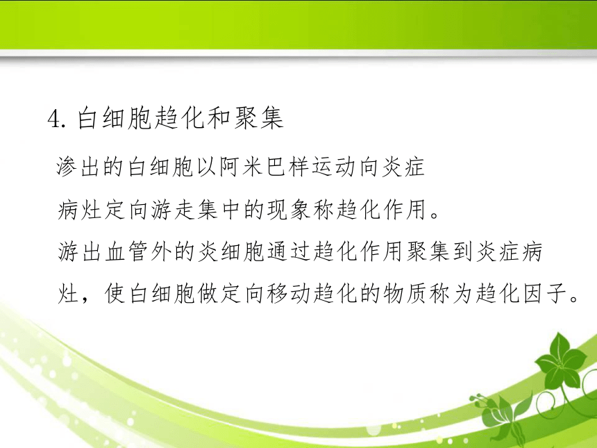 4.2急性炎症 课件(共67张PPT)《病理学》同步教学（人卫版）