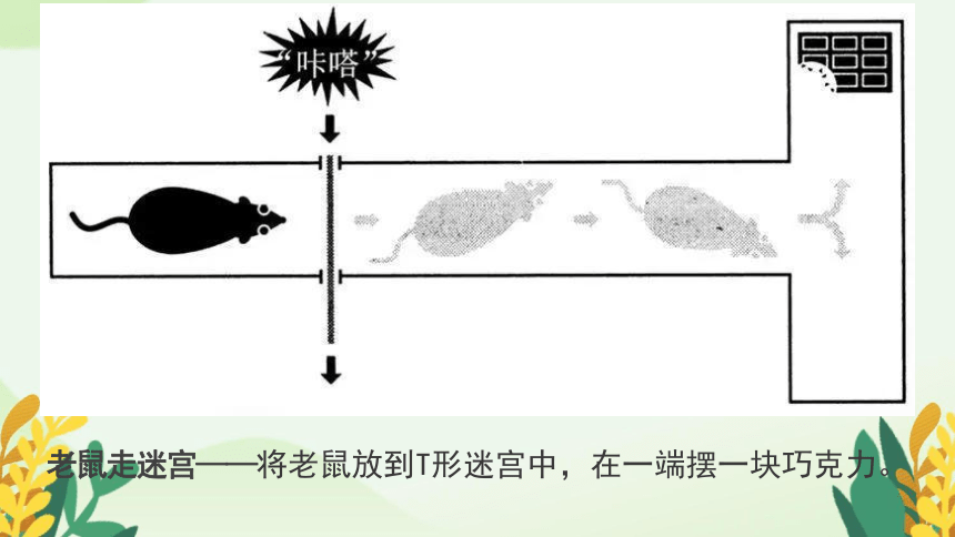 优秀是一种习惯 课件-2022-2023学年高二励志主题班会