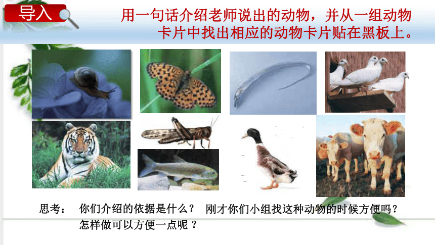 教科版（2001）科学六年级上册4.4 种类繁多的动物 （课件17张ppt)