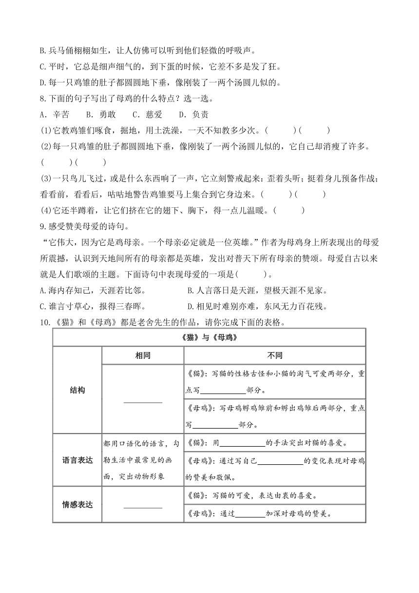 14 母鸡 同步练习 （含答案）