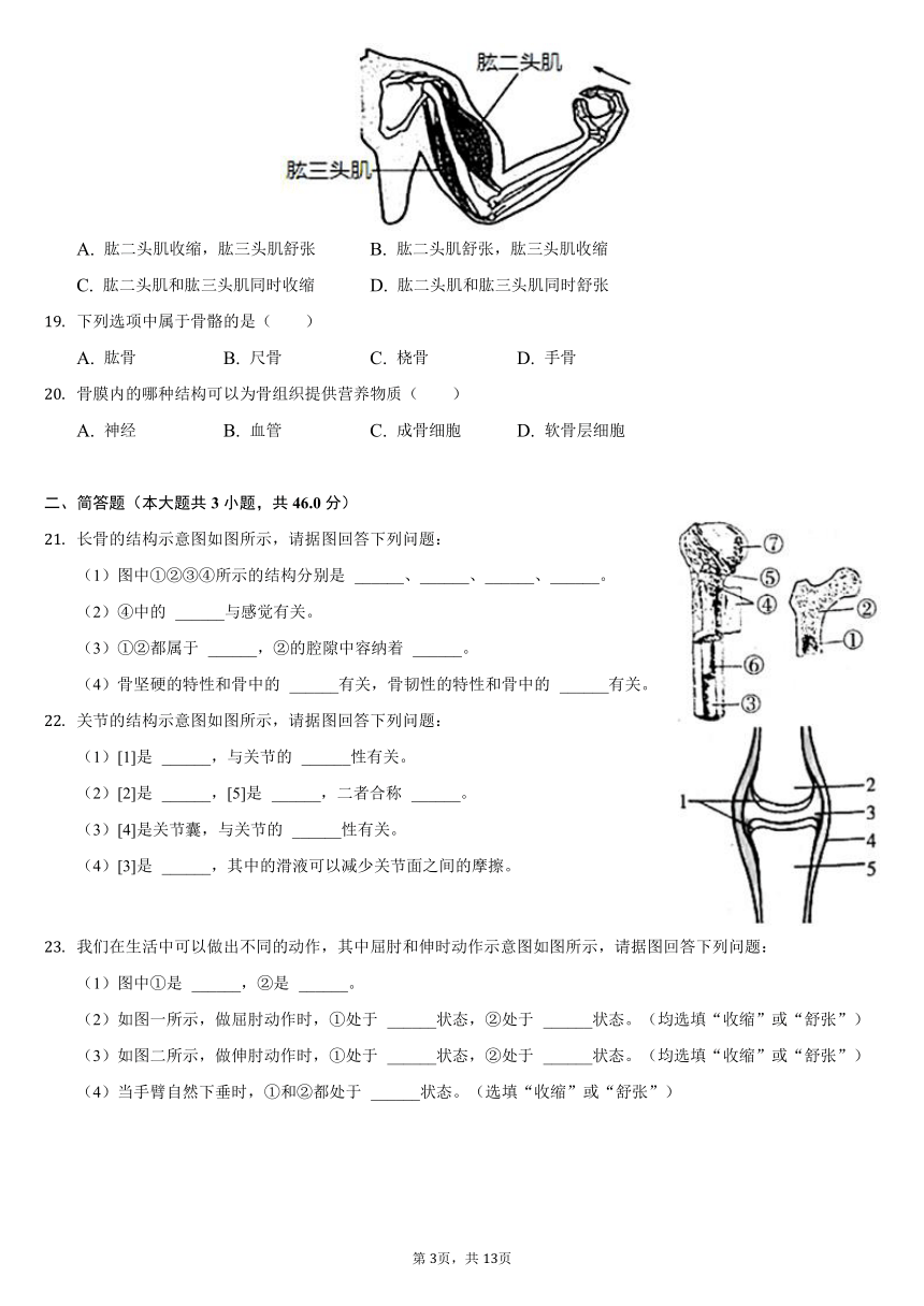 2021-2022学年安徽省淮北市五校八年级（上）第一次联考生物试卷（含解析）